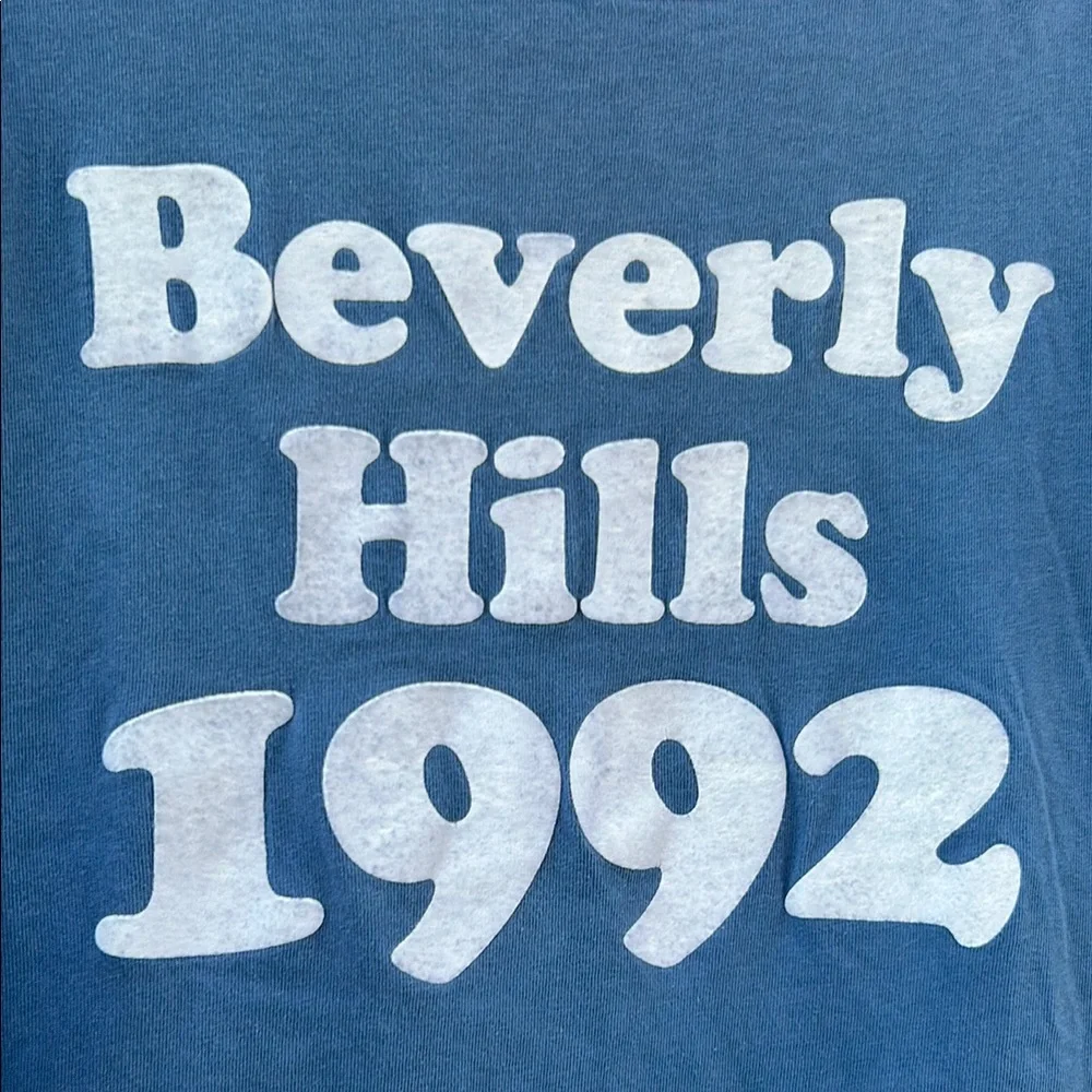 Wildfox Vintage Blue Graphic Tee - Picture 3 of 5